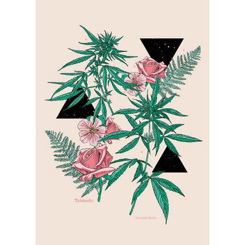 大麻堂 / ポスター 「Botanical Cannabis (ボタニカル カンナビス)」