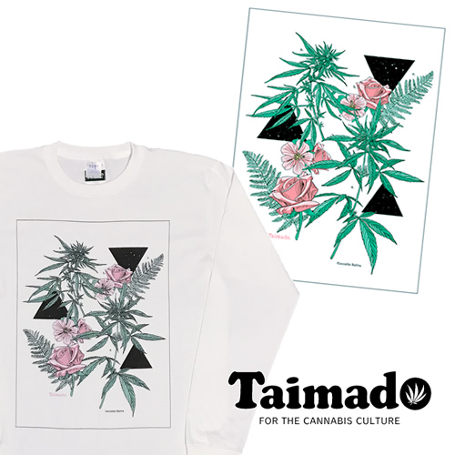 大麻堂 / Tシャツ（半袖）